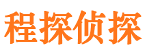 山南市私人侦探